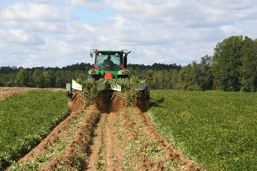 Applauding Agriculture’s Influence