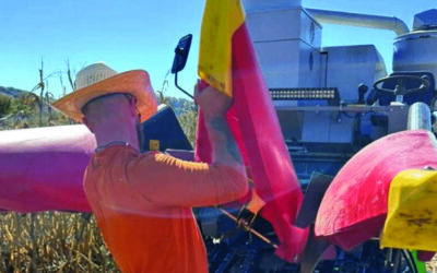 Virginia Tech researchers alter header to test weed seed control