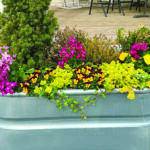 Colorful flowers are planted in a stock tank