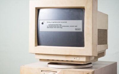 Old Sal and the Information Superhighway