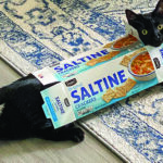The head and limbs of a playful black cat stick out of a saltines box