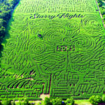 Aerial view of expansive corn maze at Liberty Mills Farm