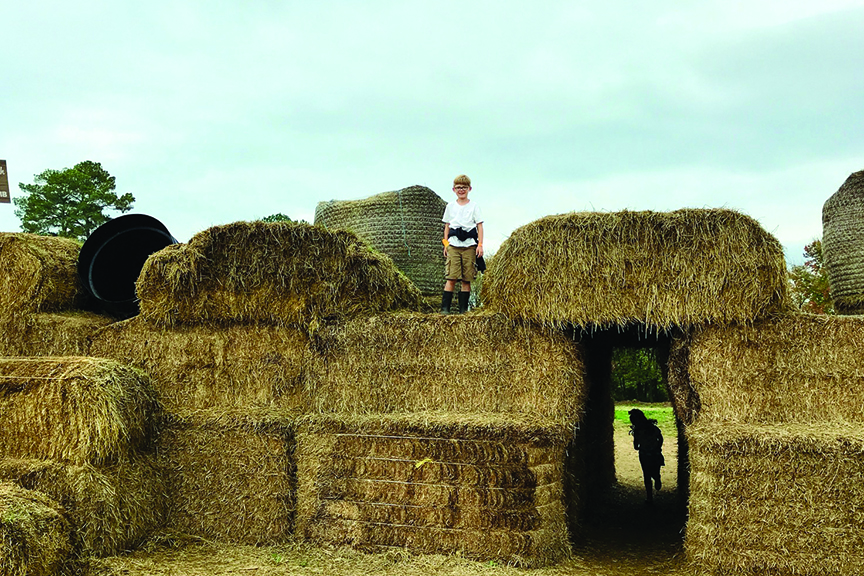 Child poses atop hay bales in a corn maze