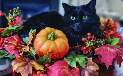 It’s Fall, Y’all