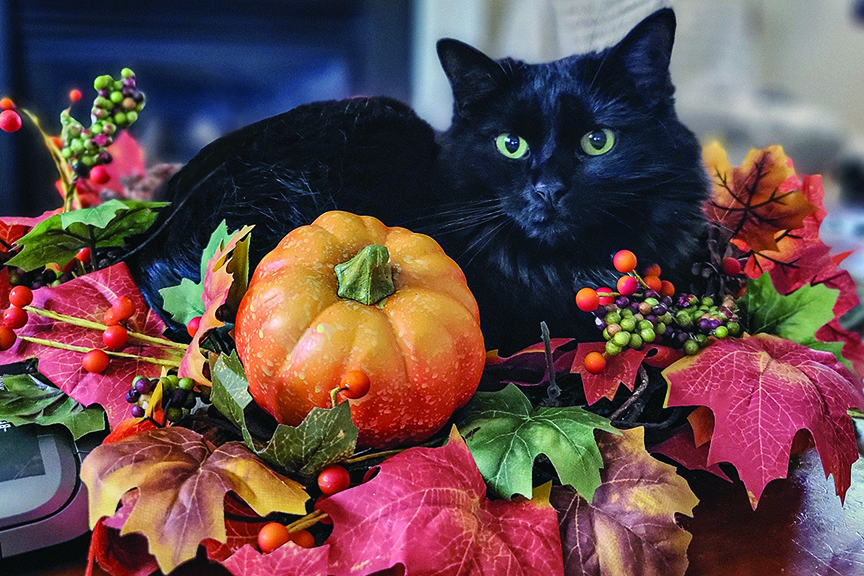 It’s Fall, Y’all