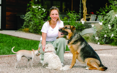 Keeping Your Pet Happy