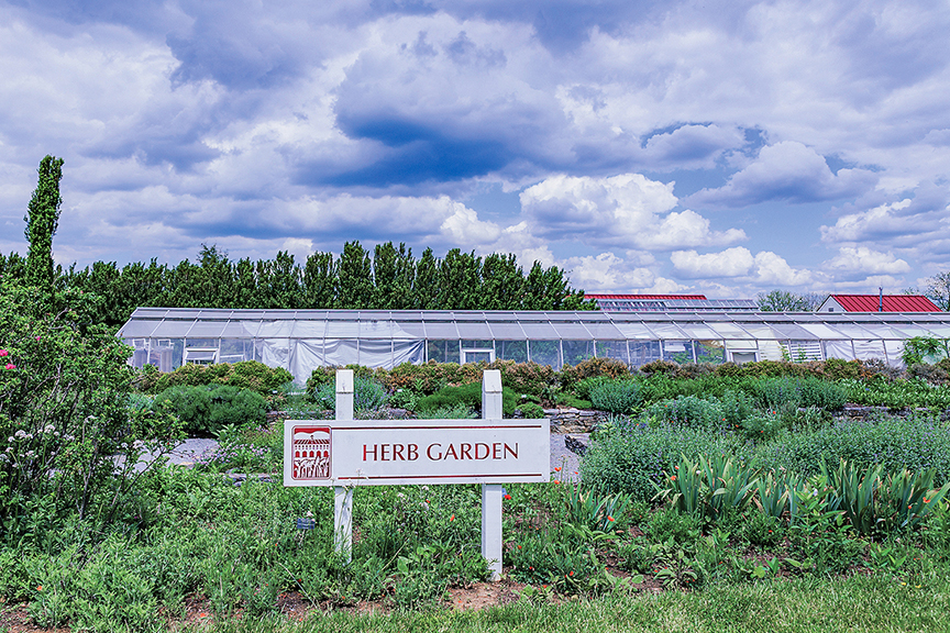 A sign reads Herb Garden
