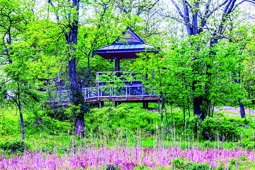The Hewlett Lewis Overlook Pavilion is nestled amid trees