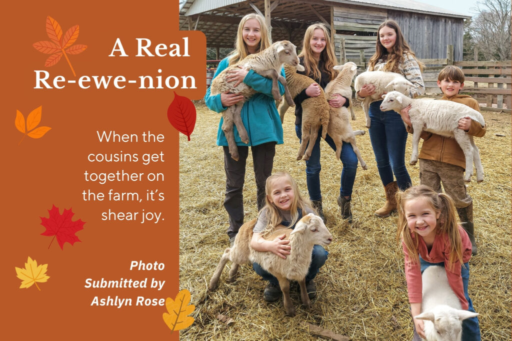 Six girls on farm each hold a sheep