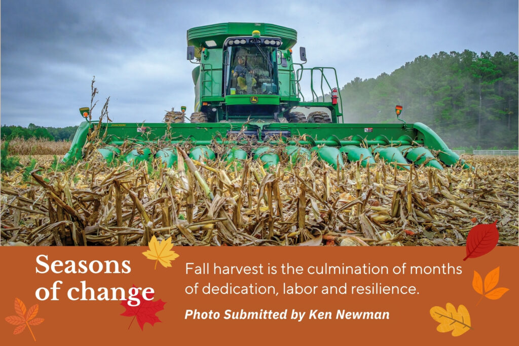 Tractor harvests crops on a farm