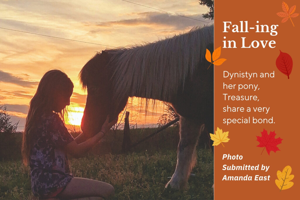 Silhouette of girl and pony at dusk