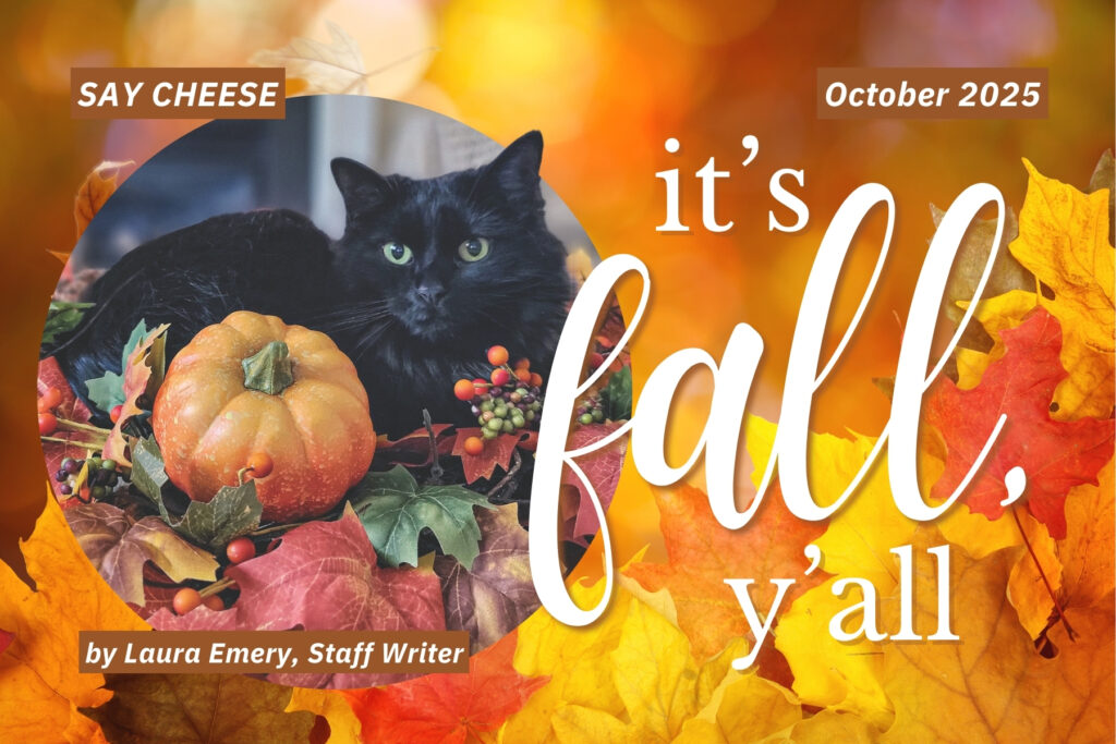 title page - it's fall, y'all
