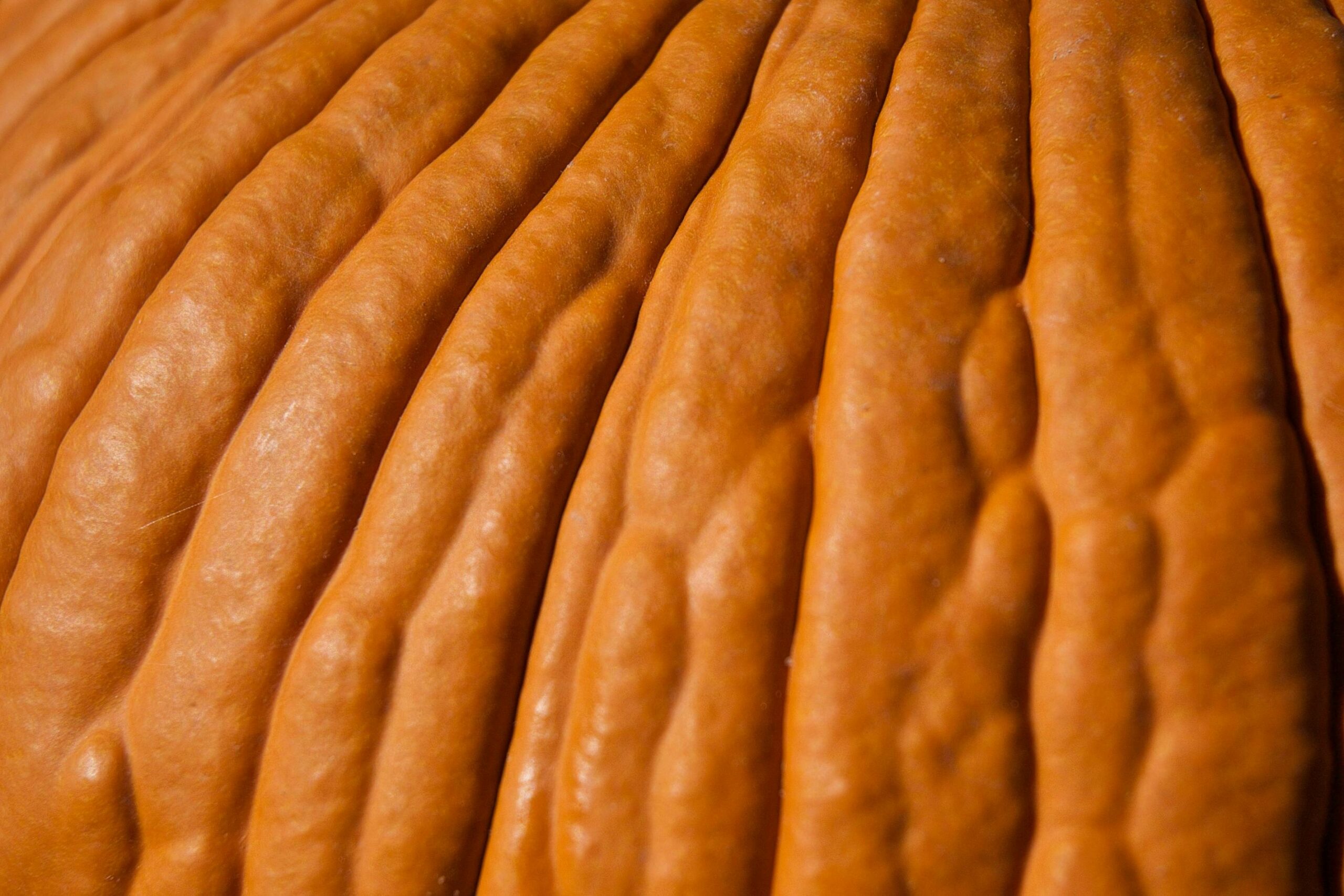 close-up image