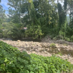 A view of Laurel Creek in Damascus, Virginia.
