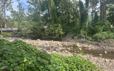 Post-Helene Adaptations Underway in Southwest Virginia
