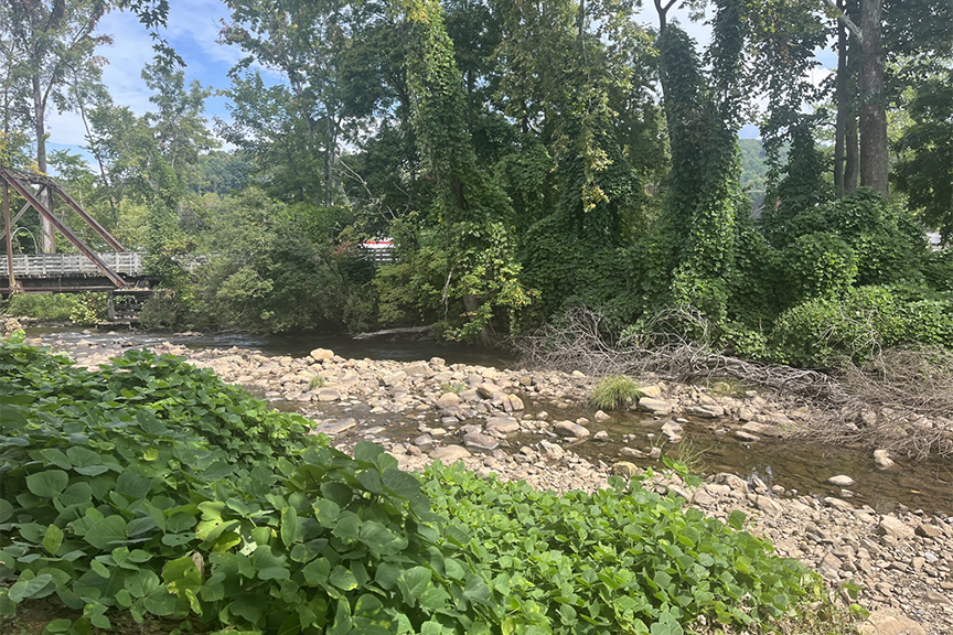 Post-Helene Adaptations Underway in Southwest Virginia