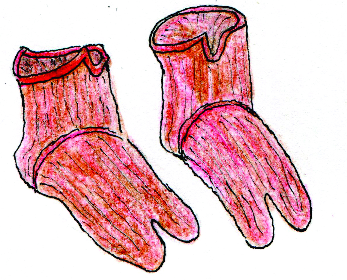 A drawing of woolen red socks with a split-toe design