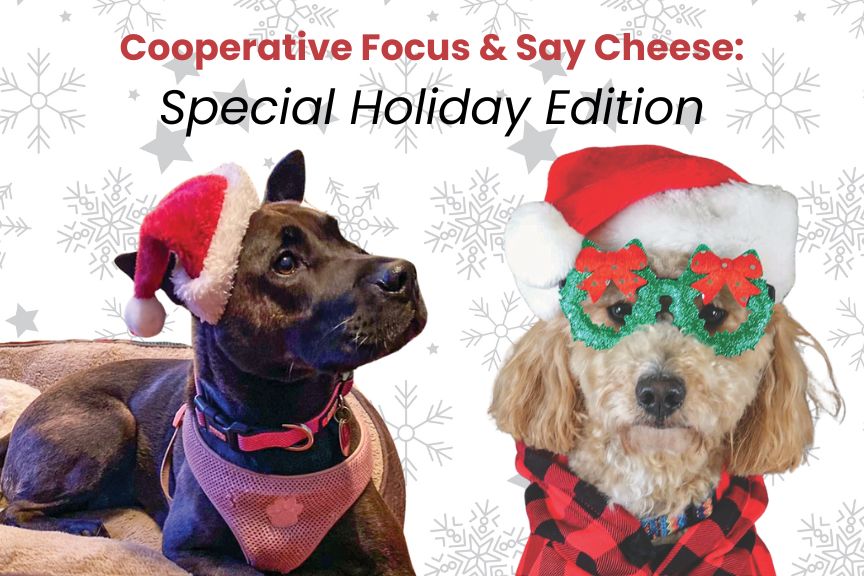 Home Fur the Holidays