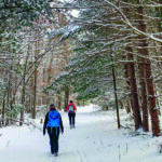Backs of two hikers traversing a snowy wooded trail