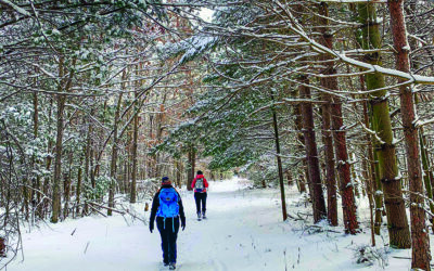 Walking in a Winter Wonderland