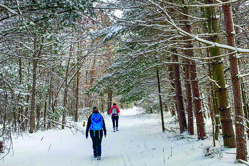 Walking in a Winter Wonderland