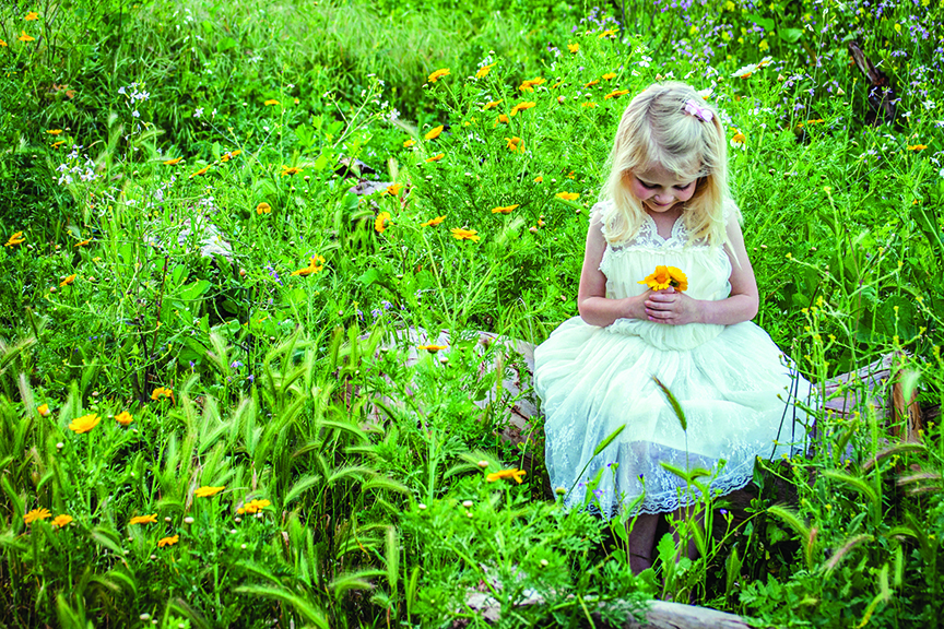 Say Cheese: Special Spring Edition