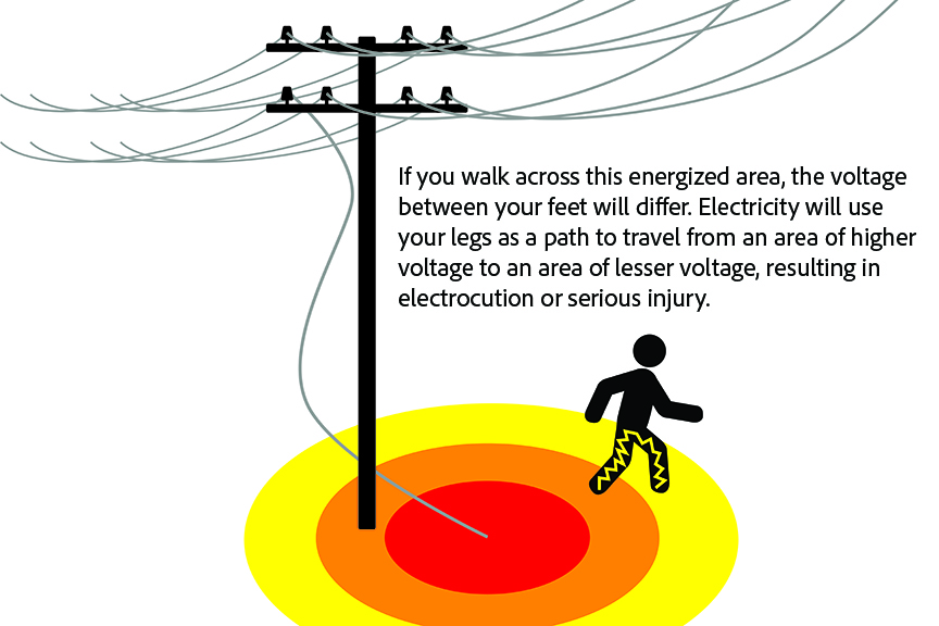 Illustration shows danger of downed power lines
