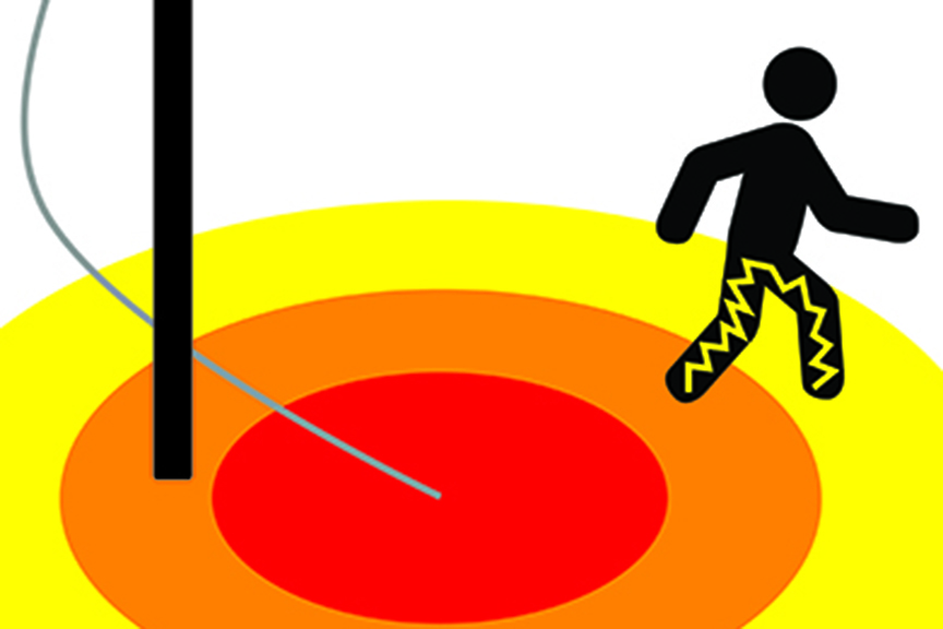 Don’t Worry, Be Hoppy