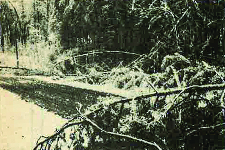 Magazine images shows large snow-covered limbs blocking roadway
