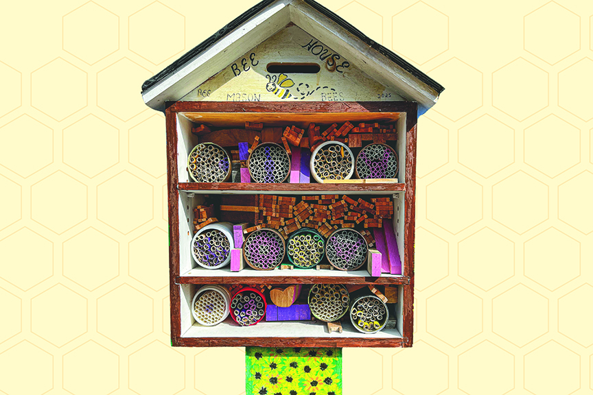 Photo of a mason bee house