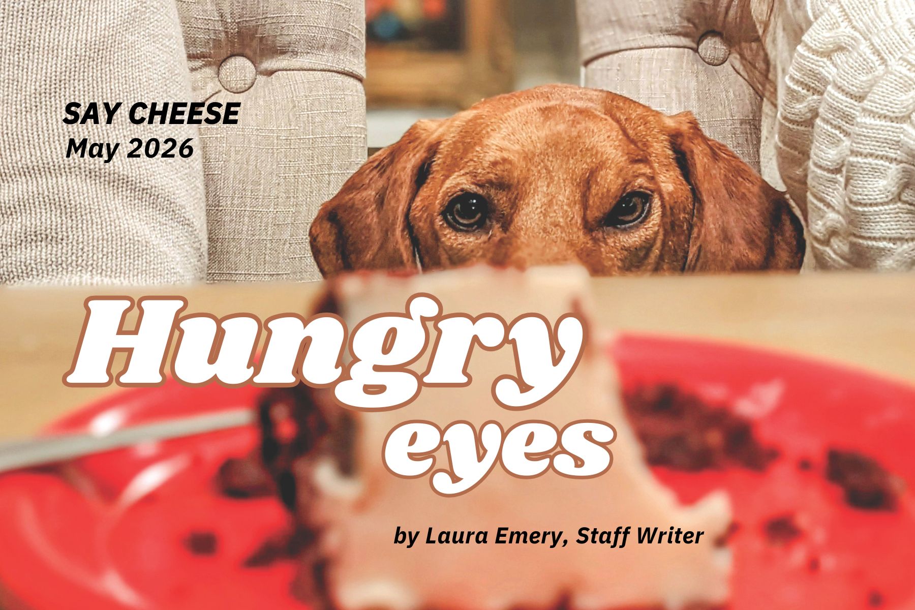 Dog eyes piece of cake on table
