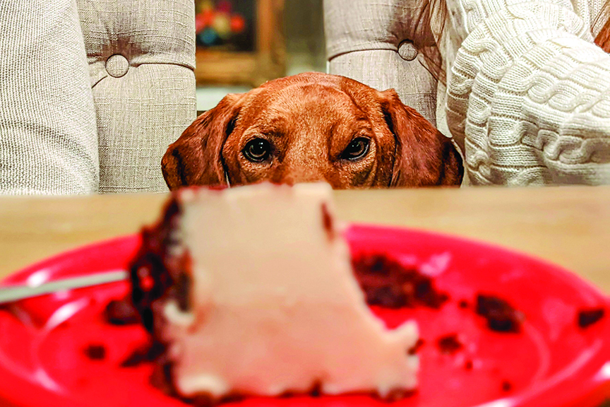 Hungry Eyes