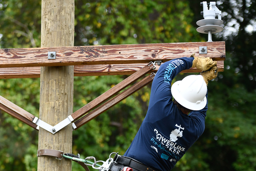 A rear view of a powerline apprentice climbing a utility pole.