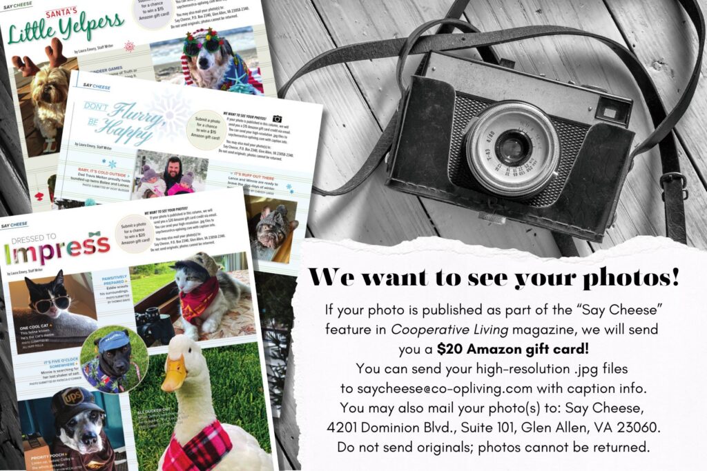 A promotional graphic calling for photo submissions. The right side features a black-and-white photo of a vintage film camera in a leather case resting on wooden planks, overlaid with a torn-paper effect. On the left side are scattered, overlapping pages of previous "Say Cheese" magazine columns featuring dressed-up pets. Bold black text on the right reads, "We want to see your photos! If your photo is published as part of the 'Say Cheese' feature in Cooperative Living magazine, we will send you a $20 Amazon gift card! You can send your high-resolution .jpg files to saycheese@co-opliving.com with caption info. You may also mail your photo(s) to: Say Cheese, 4201 Dominion Blvd., Suite 101, Glen Allen, VA 23060. Do not send originals; photos cannot be returned."