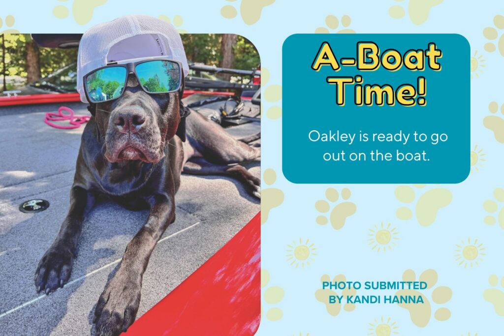 A graphic titled "A-Boat Time!" featuring a photo submitted by Kandi Hanna. The photo shows a cool black dog lying down on the deck of a red boat, wearing a white baseball cap backward and mirrored green sunglasses reflecting the outdoors. A teal text box next to the photo reads, "Oakley is ready to go out on the boat."