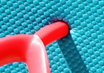 close-up image