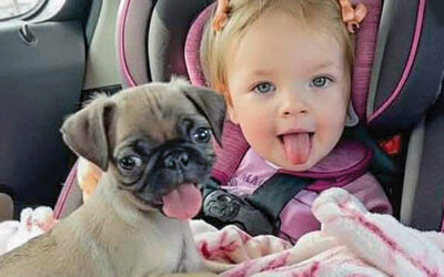 Too Cute to Handle