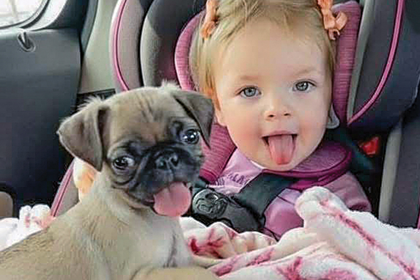 Too Cute to Handle