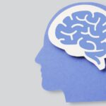 Illustration depicting profile and brain
