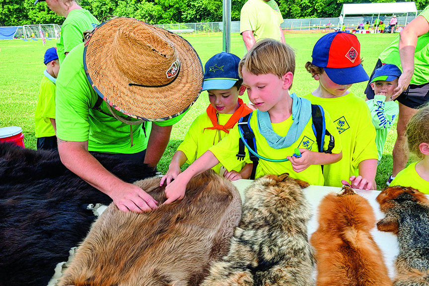 Three young cub scouts touch pelts on display at an outdoor event.