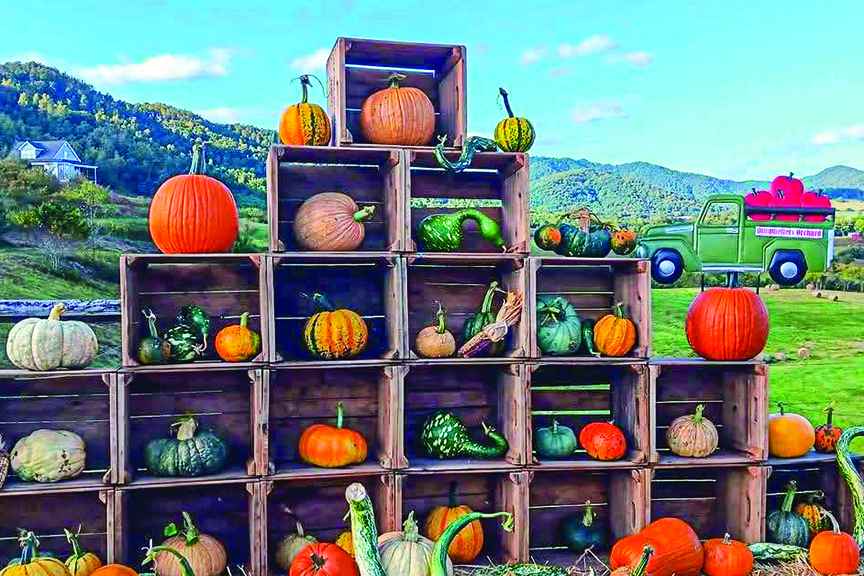 A pyramid of wooden crates each contain pumpkins, squash or other fall produce. A sign in the shape of an old green truck carrying large tomatoes sports a sign saying Drumheller's Orchard.