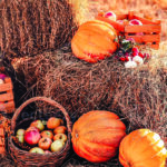 Bright orange pumpkins and other baskets of fall produce sit on and around bales of hay