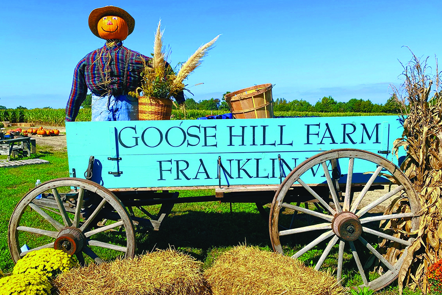 Wagon on display with scarecrow and baskets sports blue sign reading Goose Hill Farm, Franklin, Virginia