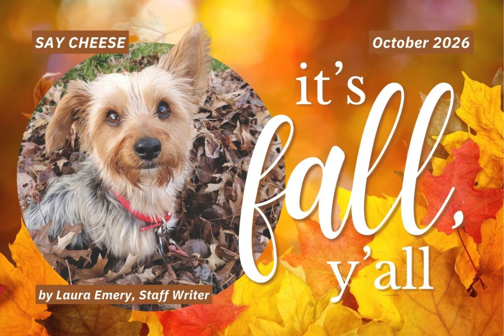Say Cheese, October 2026, It's Fall Y'all. Fall leaf background with photo of small dog in leaves