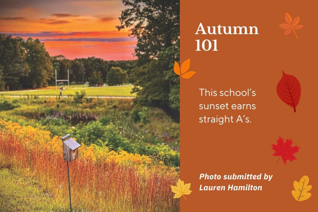 Autumn 101 - This school's sunset earns straight A's. Photo of school athletic field with sunset in background