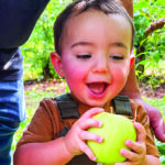 boy with green apple