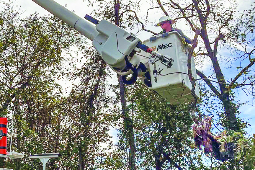 A lineworker using a bucket lift to reach an injured eagle caught in a tree.