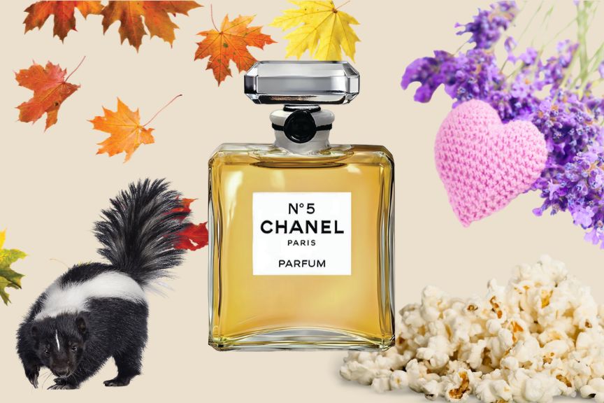 Compilation image shows fall leaves, Chanel No. 5, lavender sachet, popcorn and a skunk
